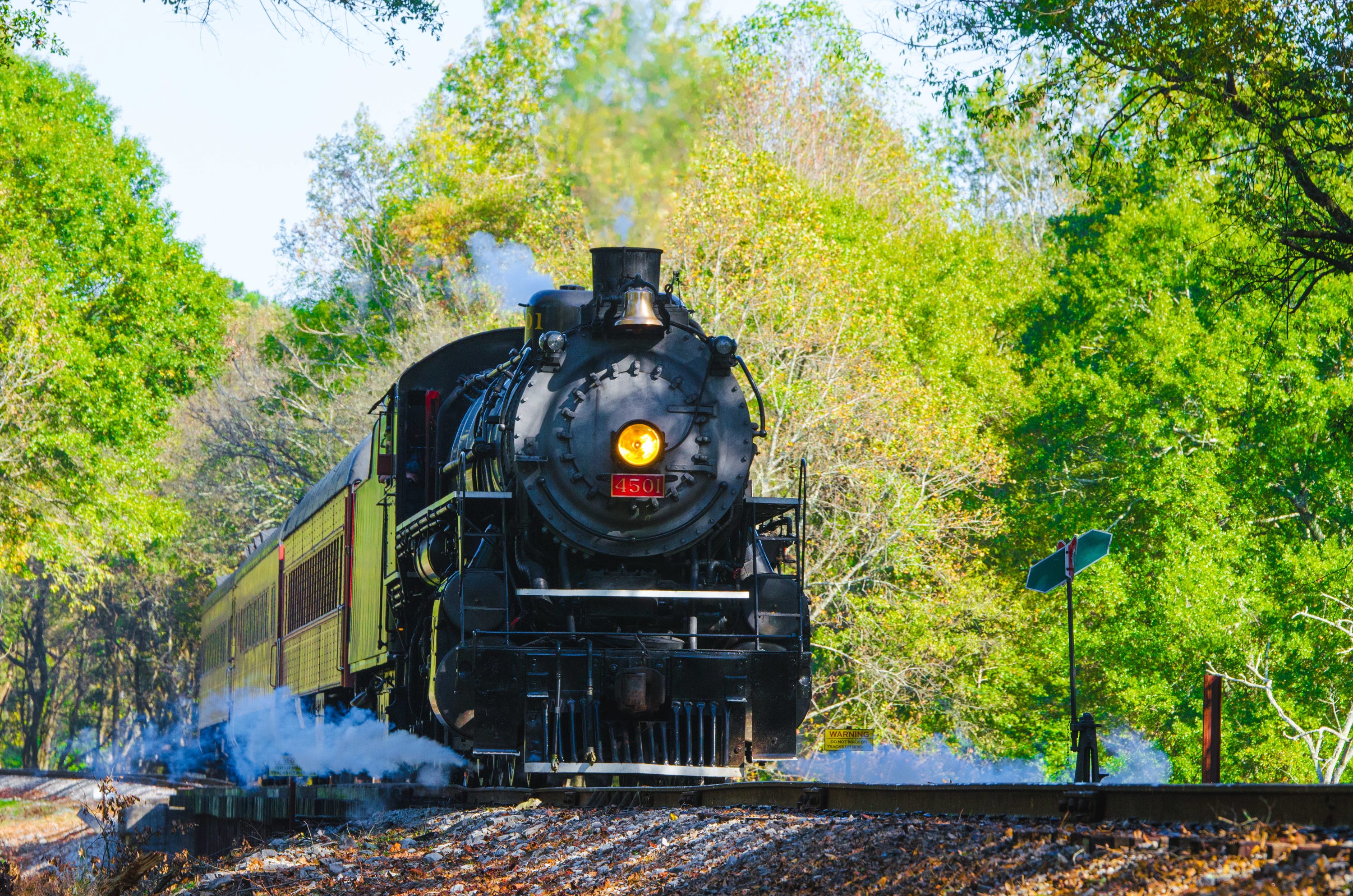 Where to book a 2026 fall foliage train ride in Tennessee, nearby