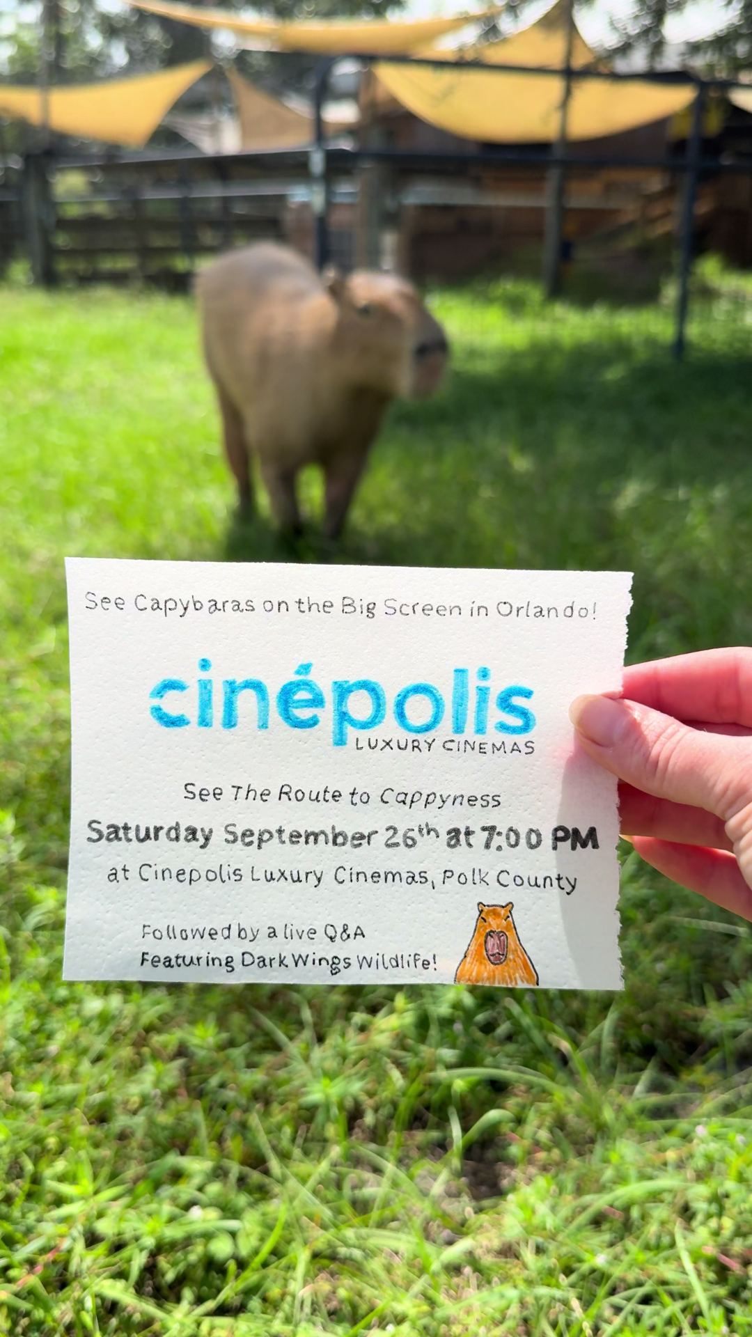 A special journey into the world of capybara conservation