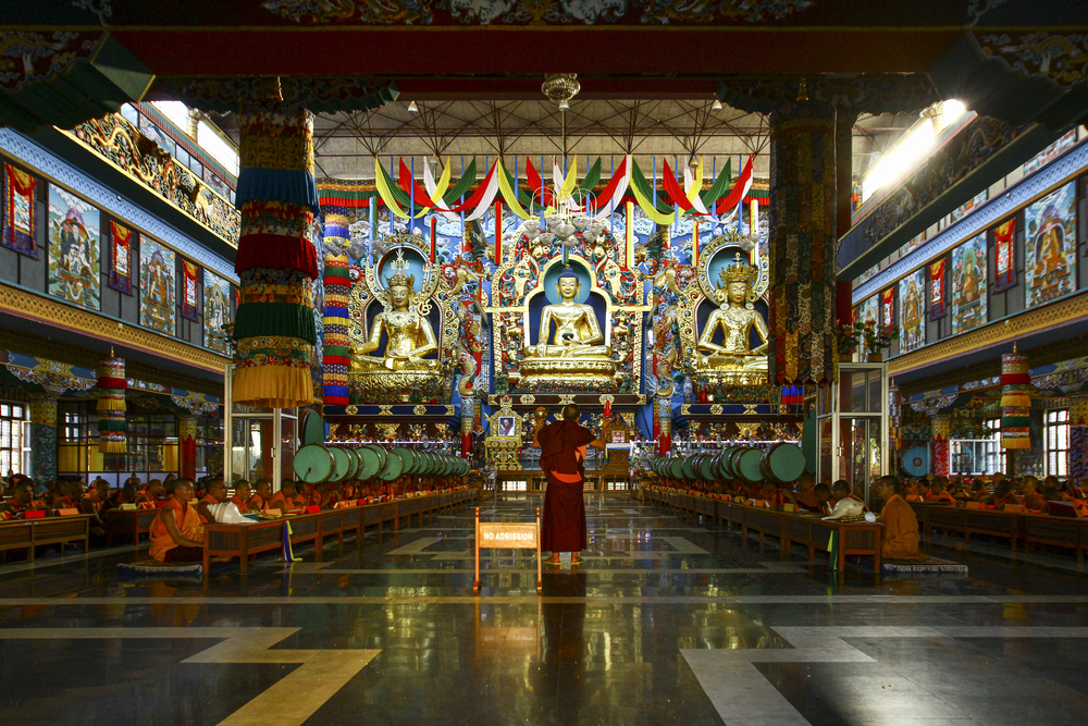 Mindful travel programs worth exploring