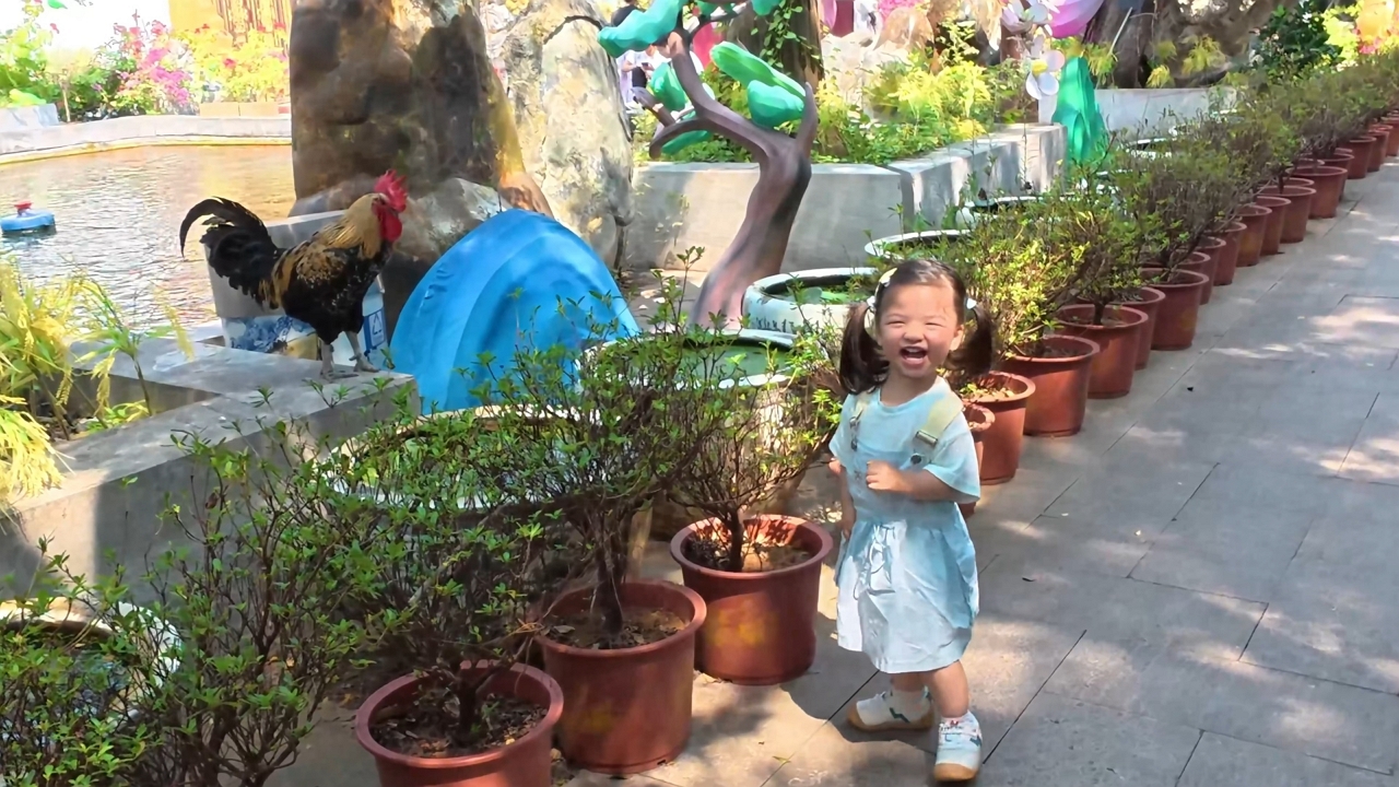 Little girl mimics rooster’s crow and laughs in Jiangxi
