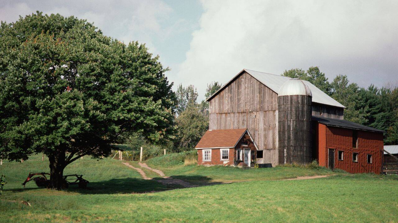 A Maryland family let their worn-out farm heal in 1954; 72 years later ...