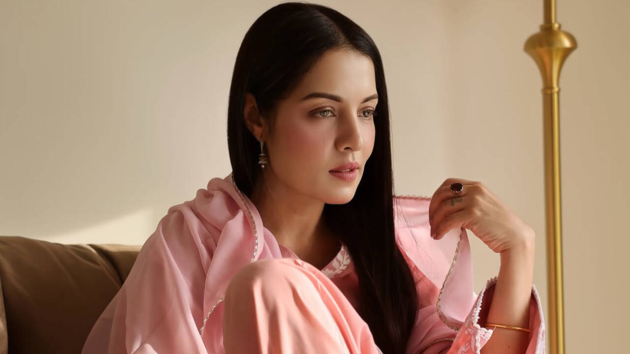 Celina Jaitly shares emotional note on 16th wedding anniversary amid ...