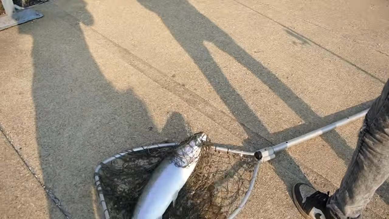 They tried to catch 1 fish in 1 hour at a military bomb dumping ground ...