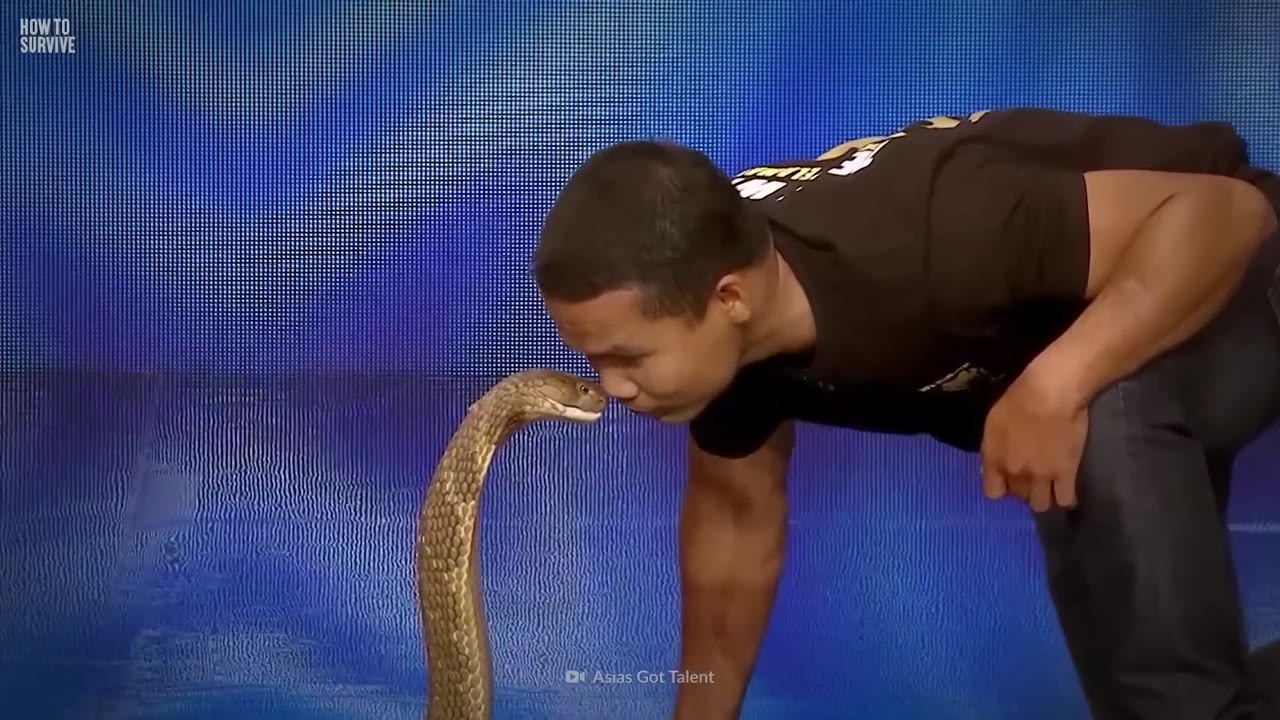 He kissed a king cobra without flinching. Then years later, one bite ...