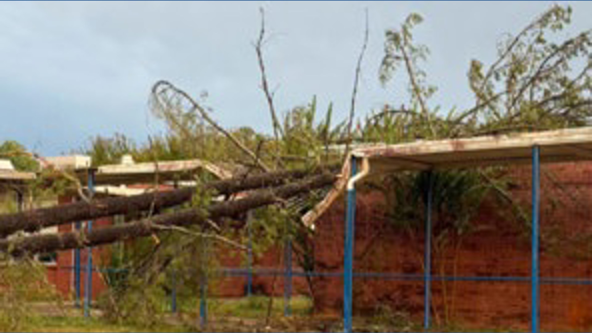 Western Rockingham Middle School needs repairs after tree falls on ...