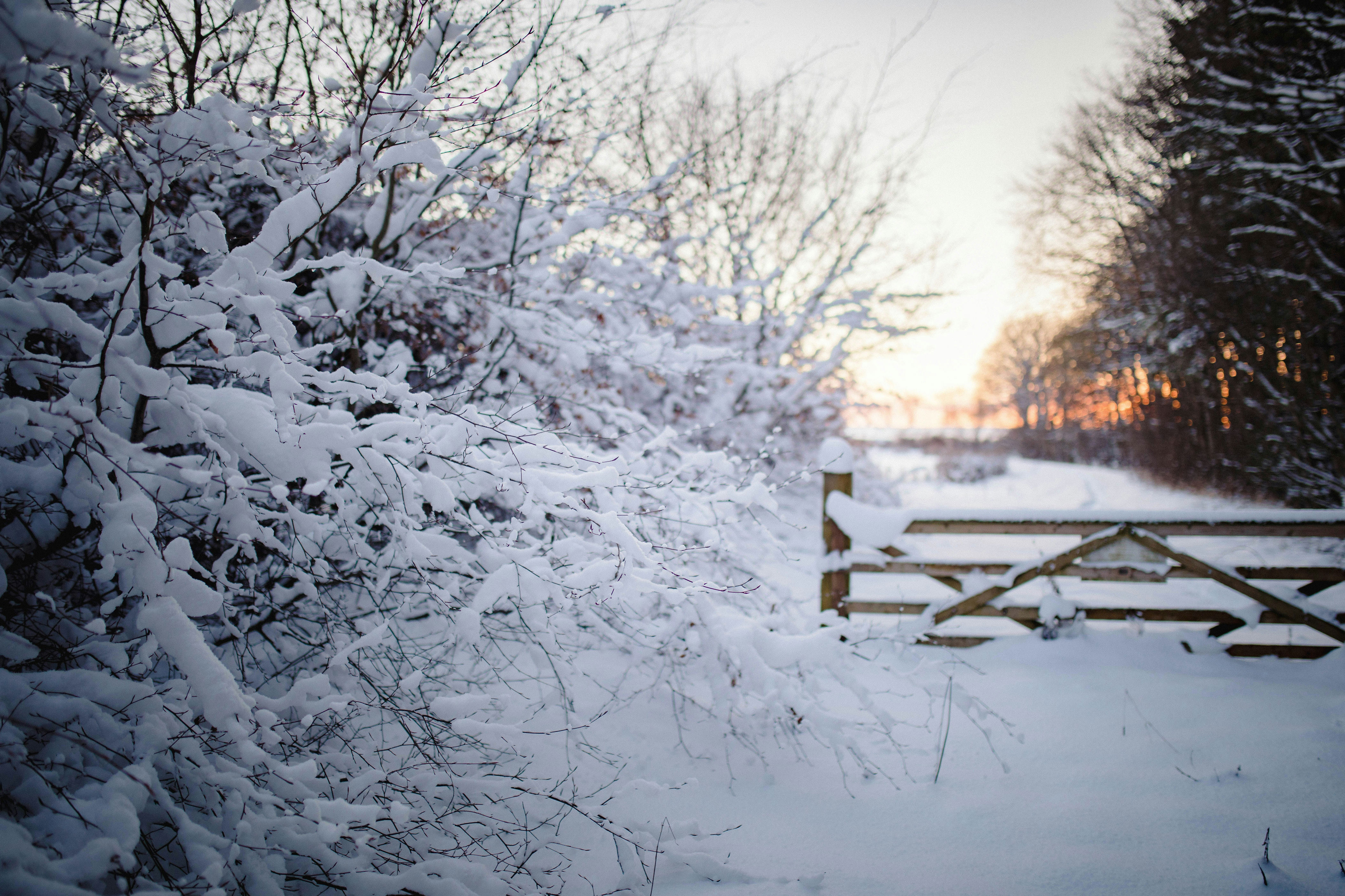 Will the 'polar vortex' bring freezing temps to the UK this winter?