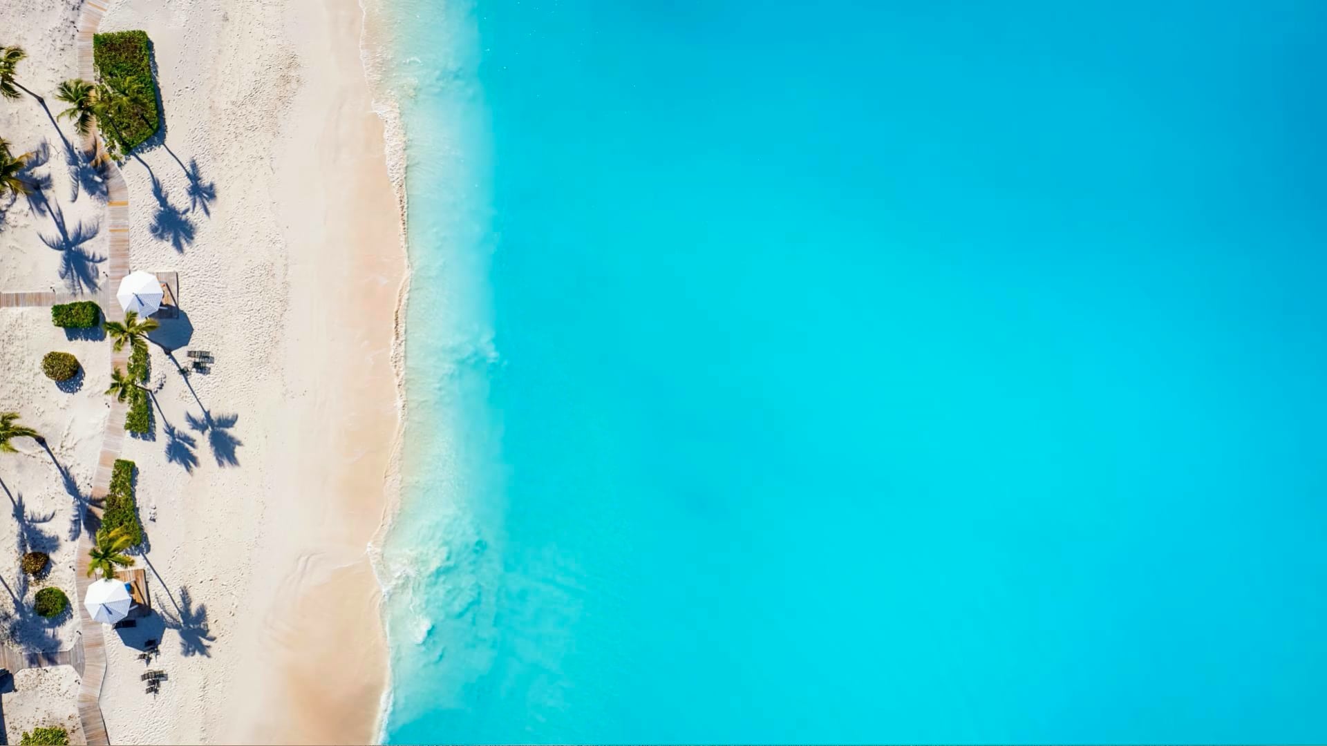 L'eau de mer n'est pas bleue : d'où vient la couleur de l'océan que l ...