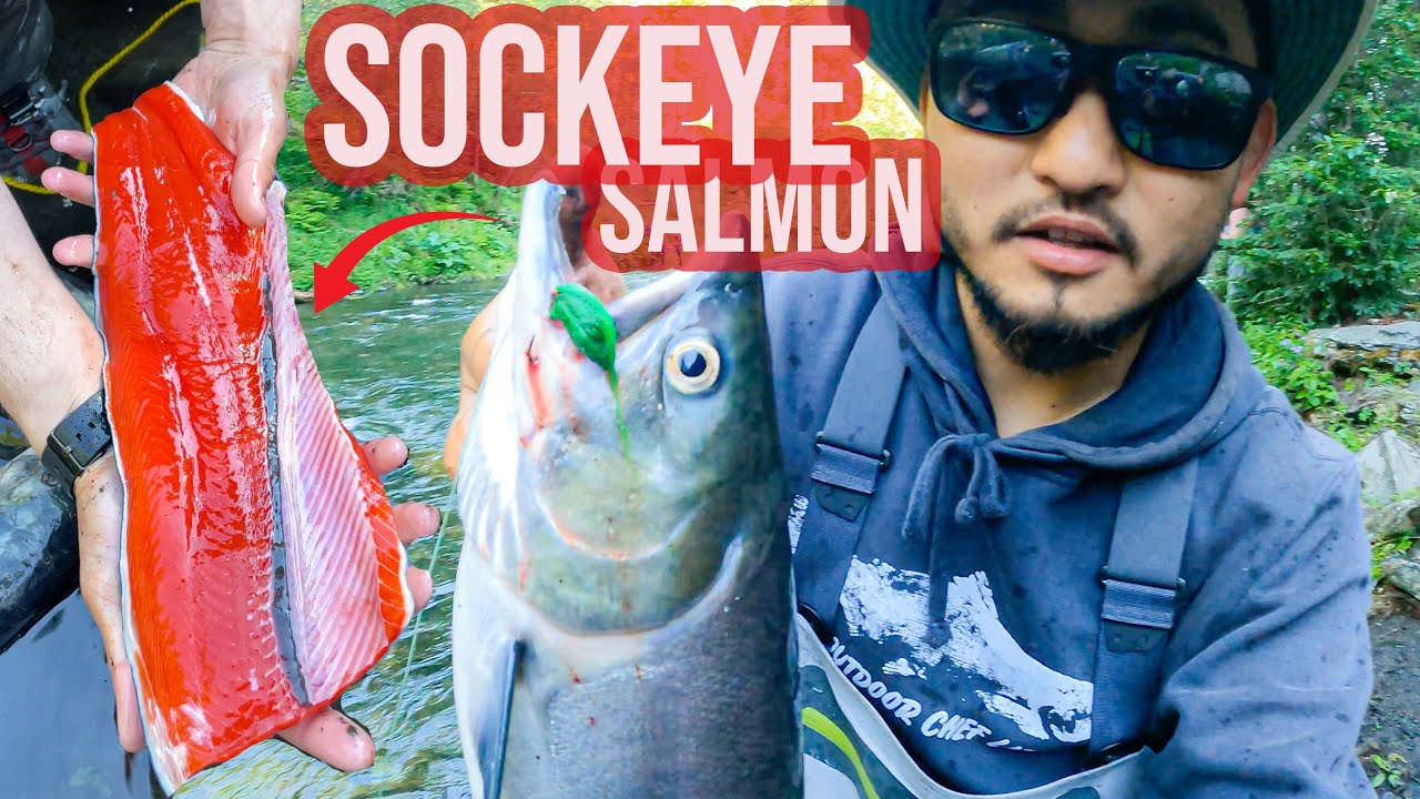 Epic Alaska adventure: fishing and feasting!