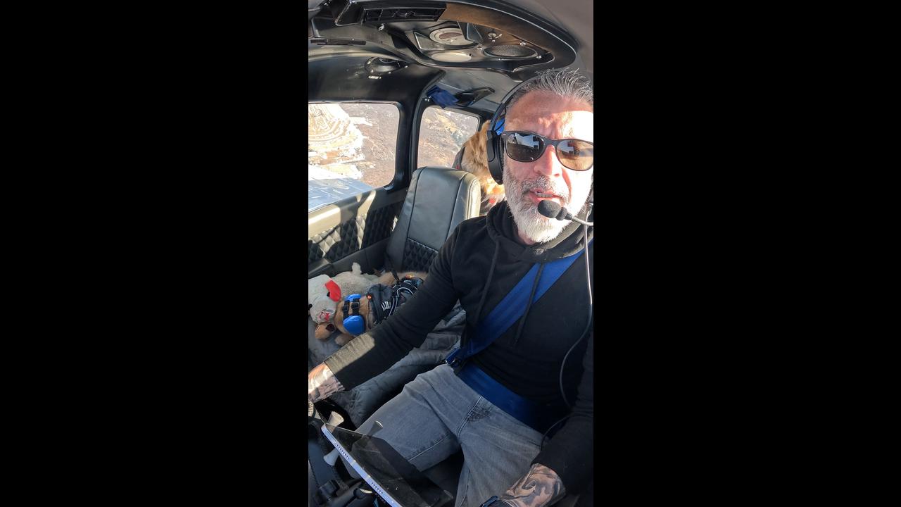 Puppy joins owner as an adorable copilot