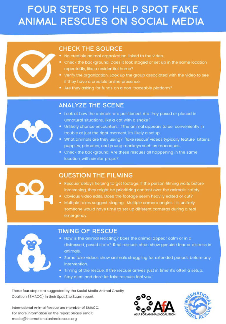 International Animal Rescue shares useful guide for SMACC 'Report It' week