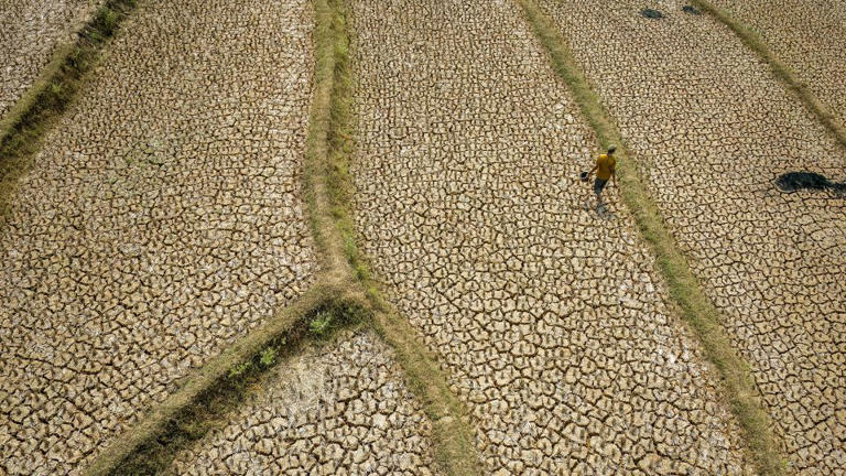 Super-sized El Niño could cause more than 450,000 heat deaths by ...