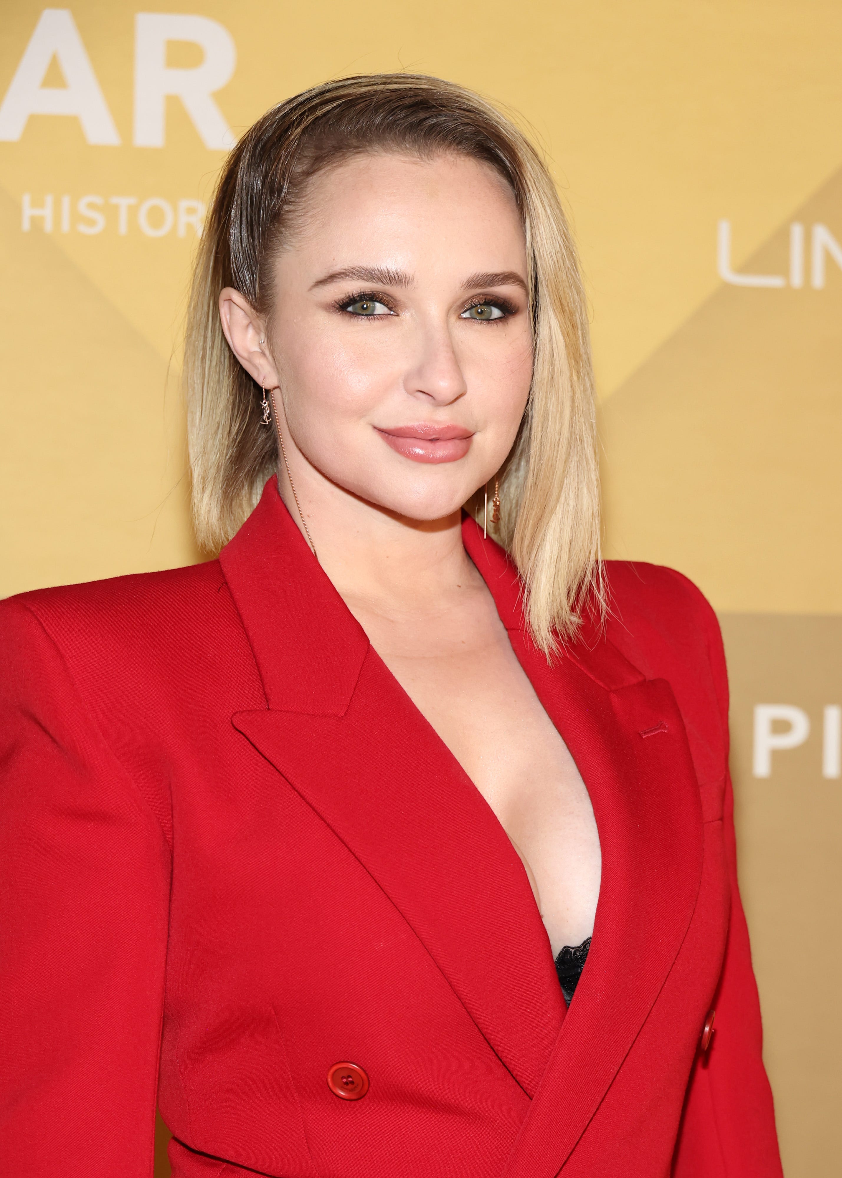 Hayden Panettiere death investigation reveals drugs found with star: report