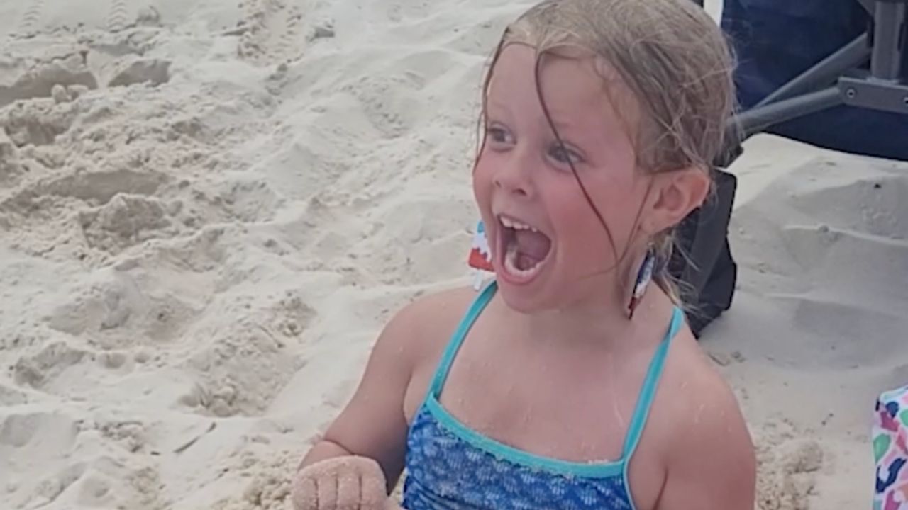 Girl screams with joy at 'finding' treasure chest on first trip to ...