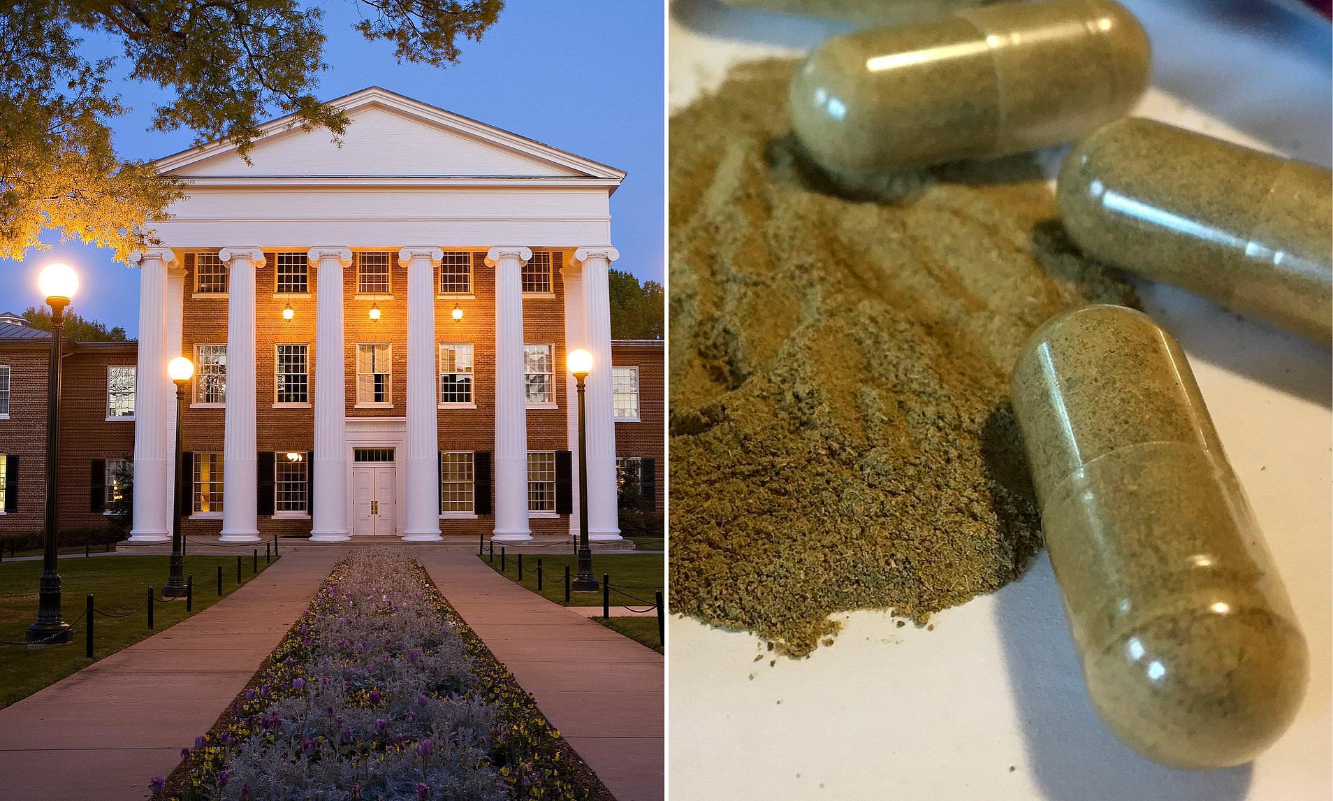 What Kratom does to the body... as unregulated herb emerges in connection to deaths of two students