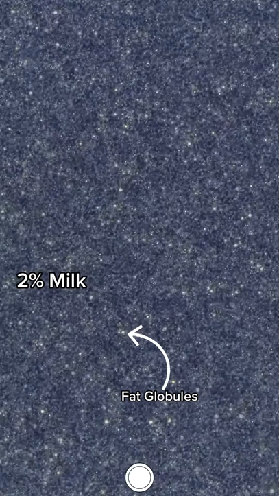 Milk alternatives under the microscope