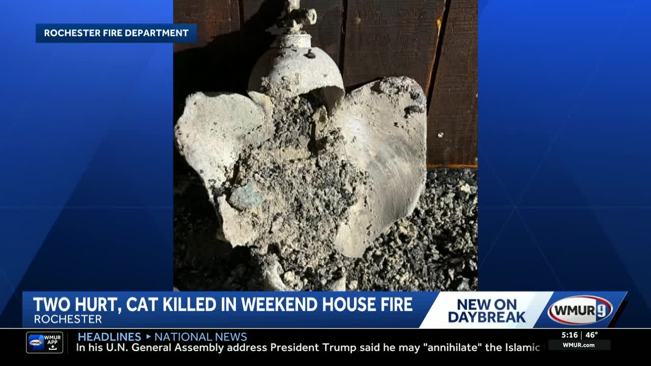 Two hurt, cat killed in weekend house fire