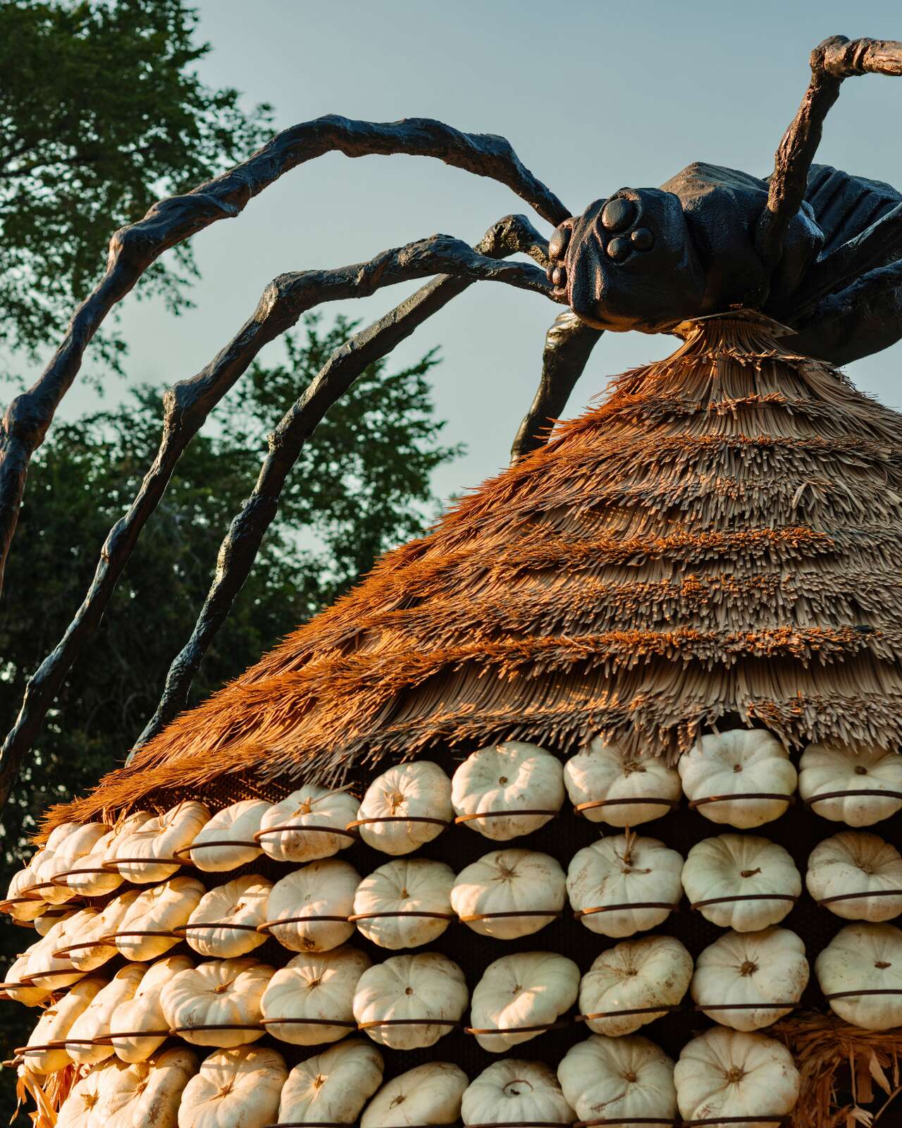 'Harvest hues' takes over the Dallas Arboretum