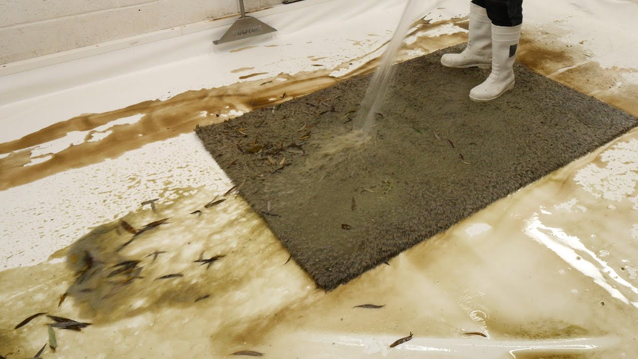 Rug was left under a tree for a year | Satisfying carpet cleaning time ...