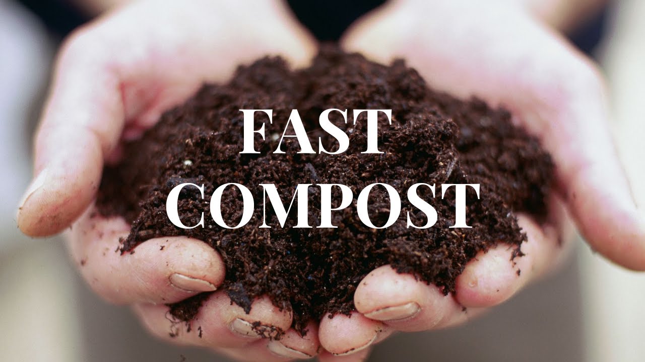 Fast composting: From scraps to garden gold