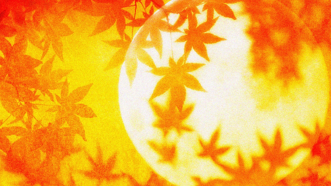 Fall equinox 2026: What it means and when it happens