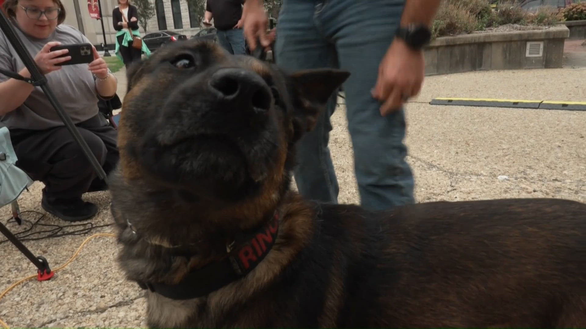 Meet LMPD's new K-9 drug trafficking dog Ringo