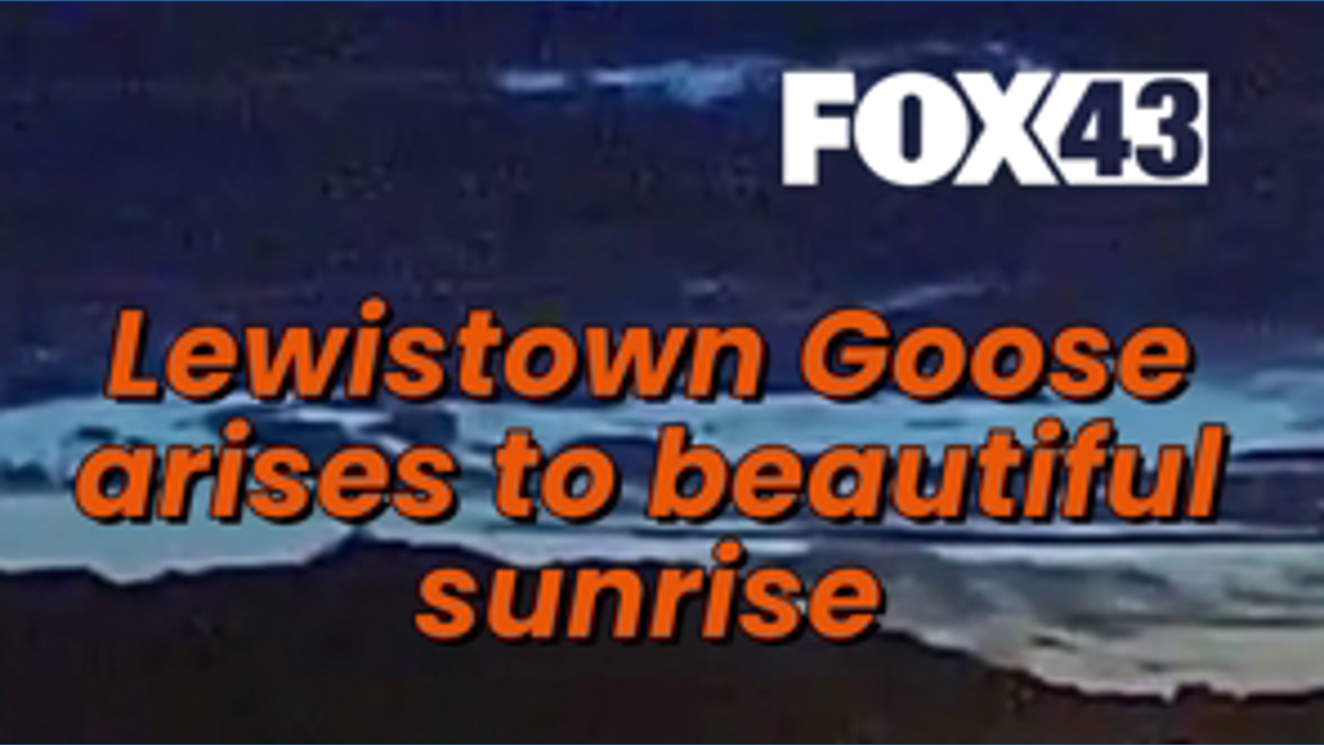 Lewistown Goose arises to sunrise