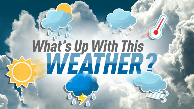 What's up with this weather: Winter forecast and Fat Bear Week