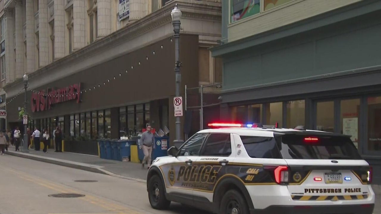 Teenage girl charged with attempted homicide after fight in Pittsburgh ...
