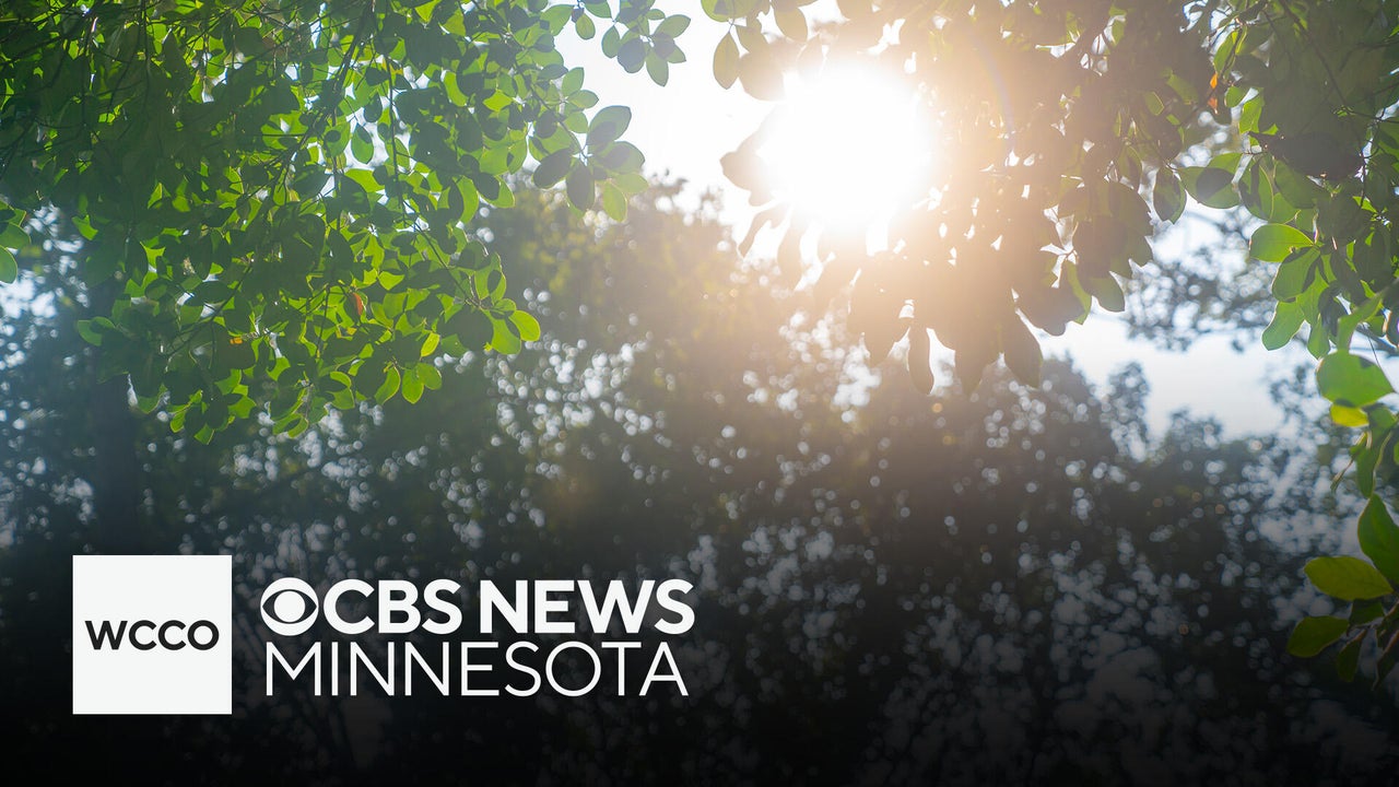 Scientific study examines climate change’s impact on Minnesota trees