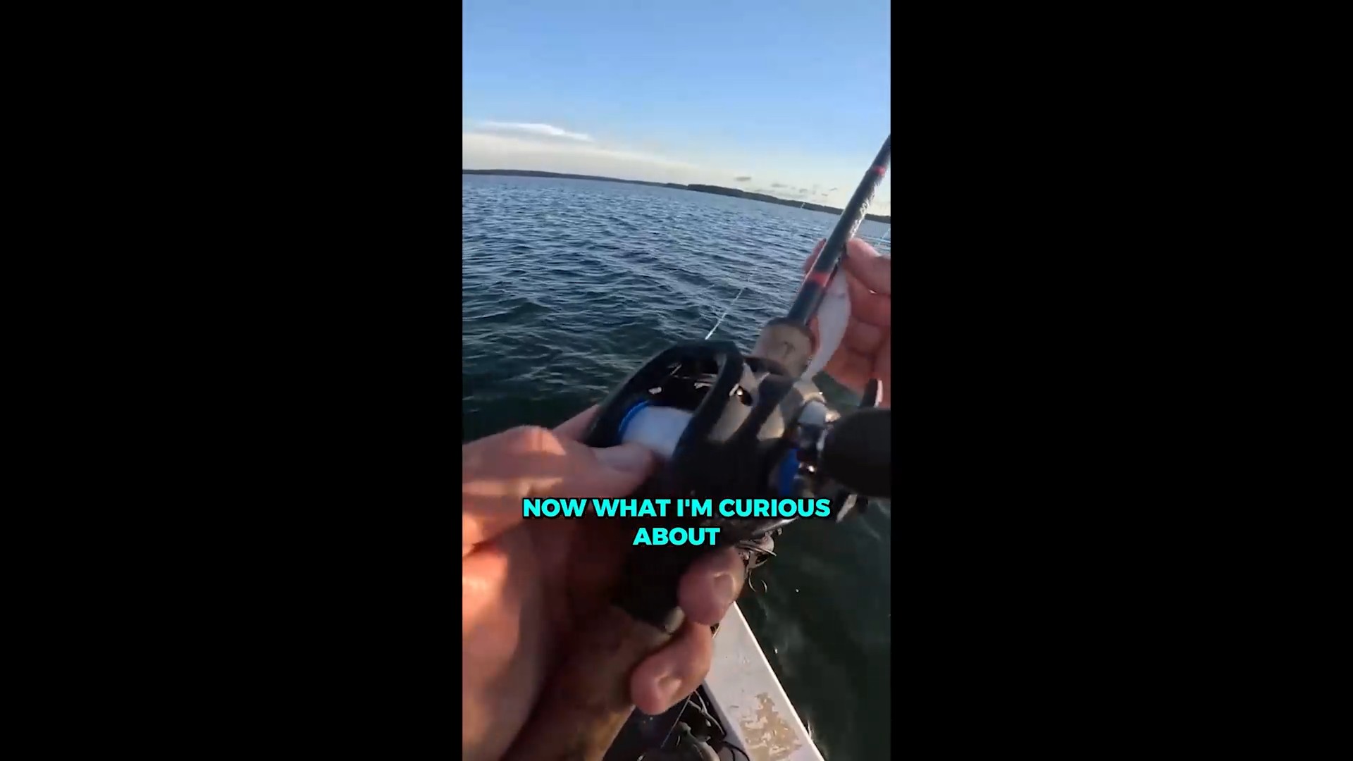 Can $200 worth of TEMU fishing gear catch monster fish?