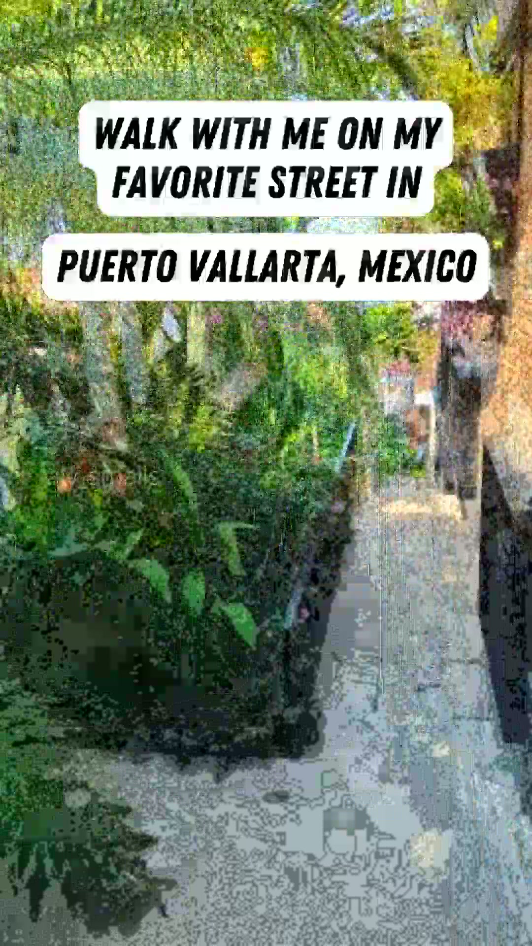 This Puerto Vallarta street has so many good photo spots! #shorts # ...