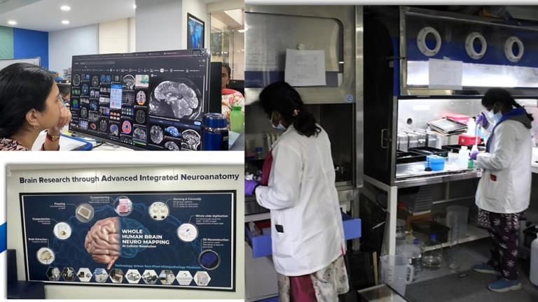 IIT Madras maps the human brain by merging neuroscience, engineering ...