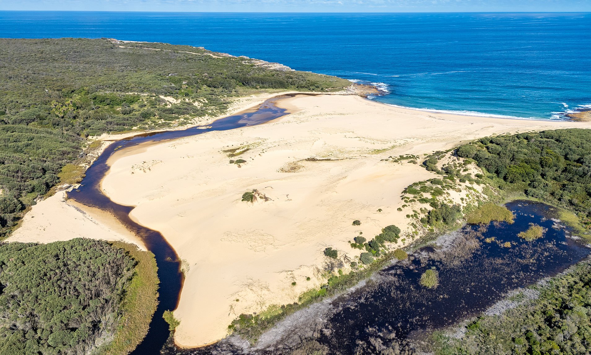 Swimmer is found dead after urgent search and rescue operation at a NSW ...