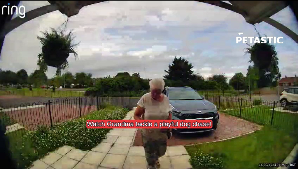 Grandmother's school drop off turns into playful dog chase