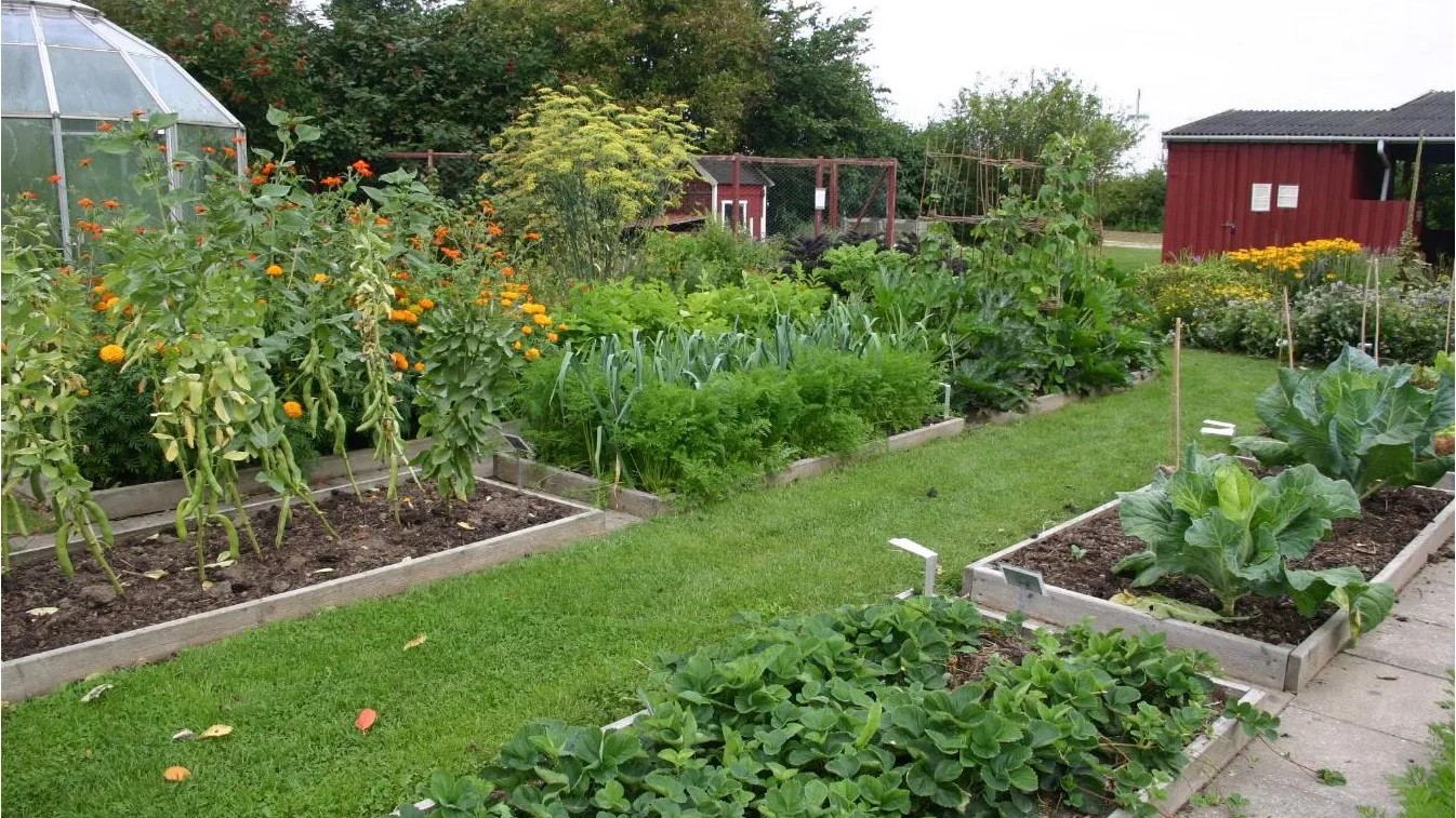 4 sustainable farming practices gaining ground nationwide