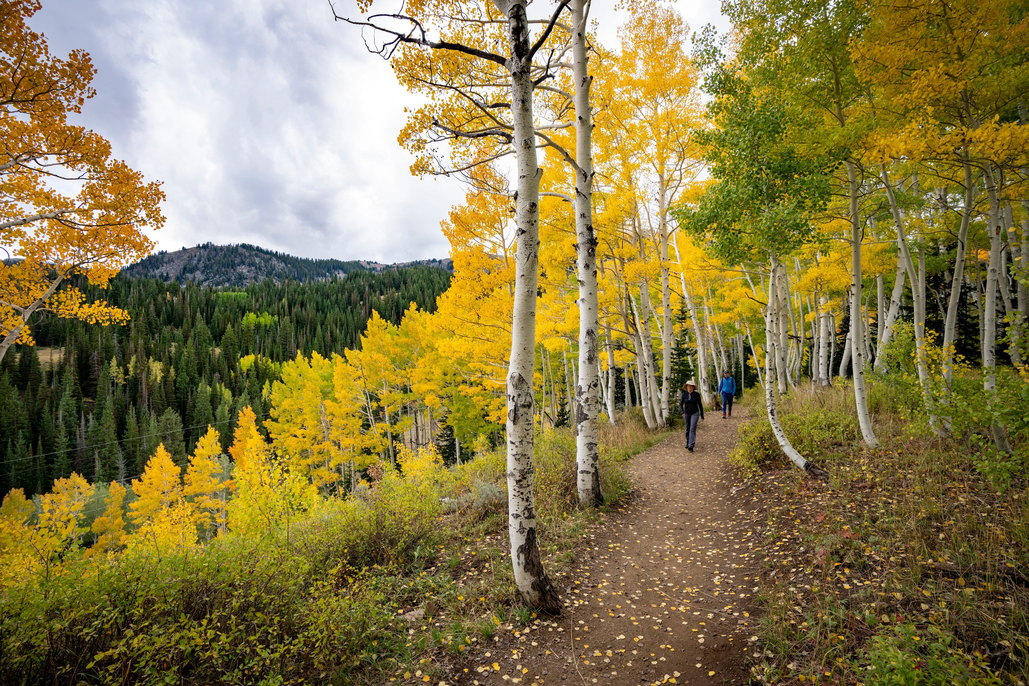 Want photos of Utah’s fall colors you’ll actually look at again ...