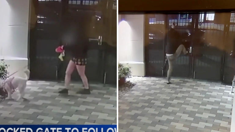 Terrified UC Berkeley student was chased by man who climbed her ...