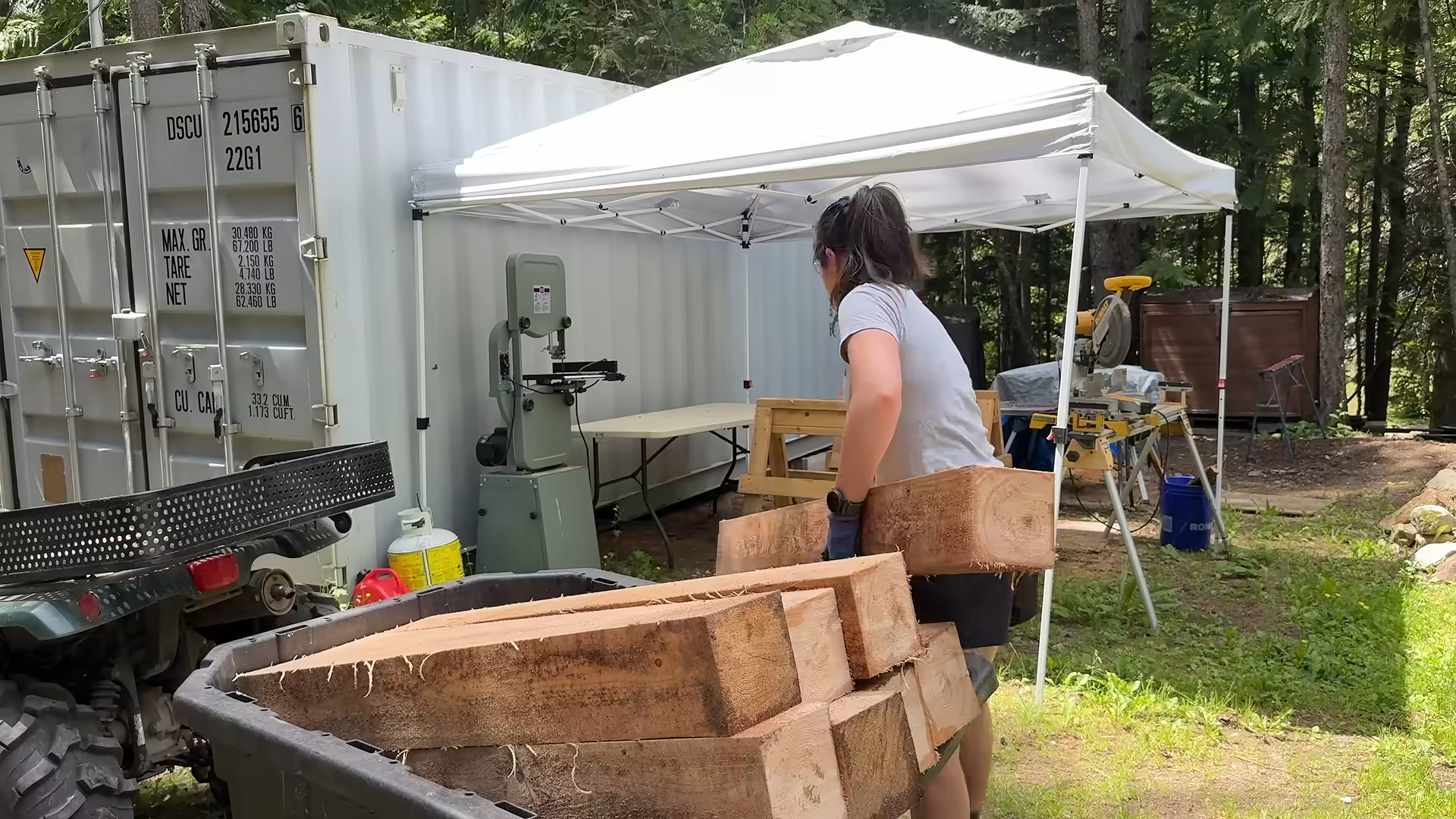 They needed huge timbers for their remote cabin then turned trees from ...