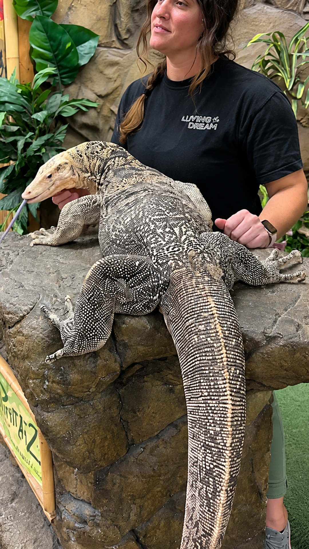 This massive lizard got his name from his bright blonde head