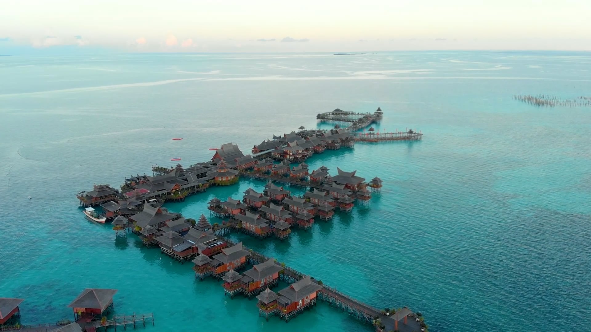 Wild Borneo: Stunning drone flight over pristine rainforests