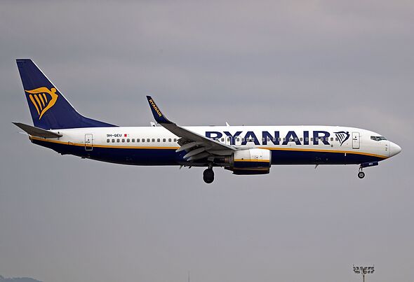 Ryanair flight aborts journey as pilot sends horror 'hijack' alert mid-air