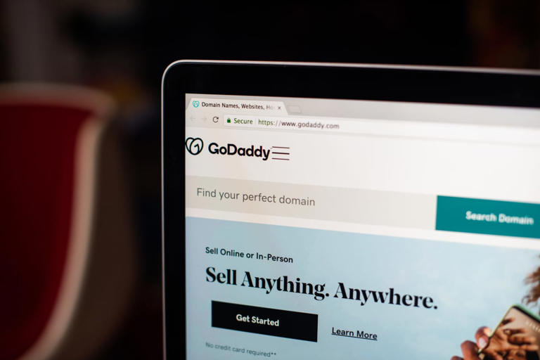 A major software player has its eyes on GoDaddy, says a report. GoDaddy ...
