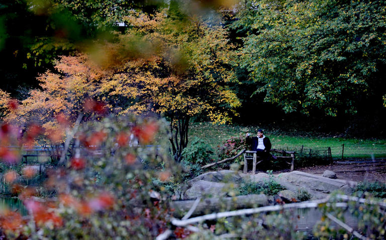 Peak fall foliage in New York: Where to see the best fall colors this ...