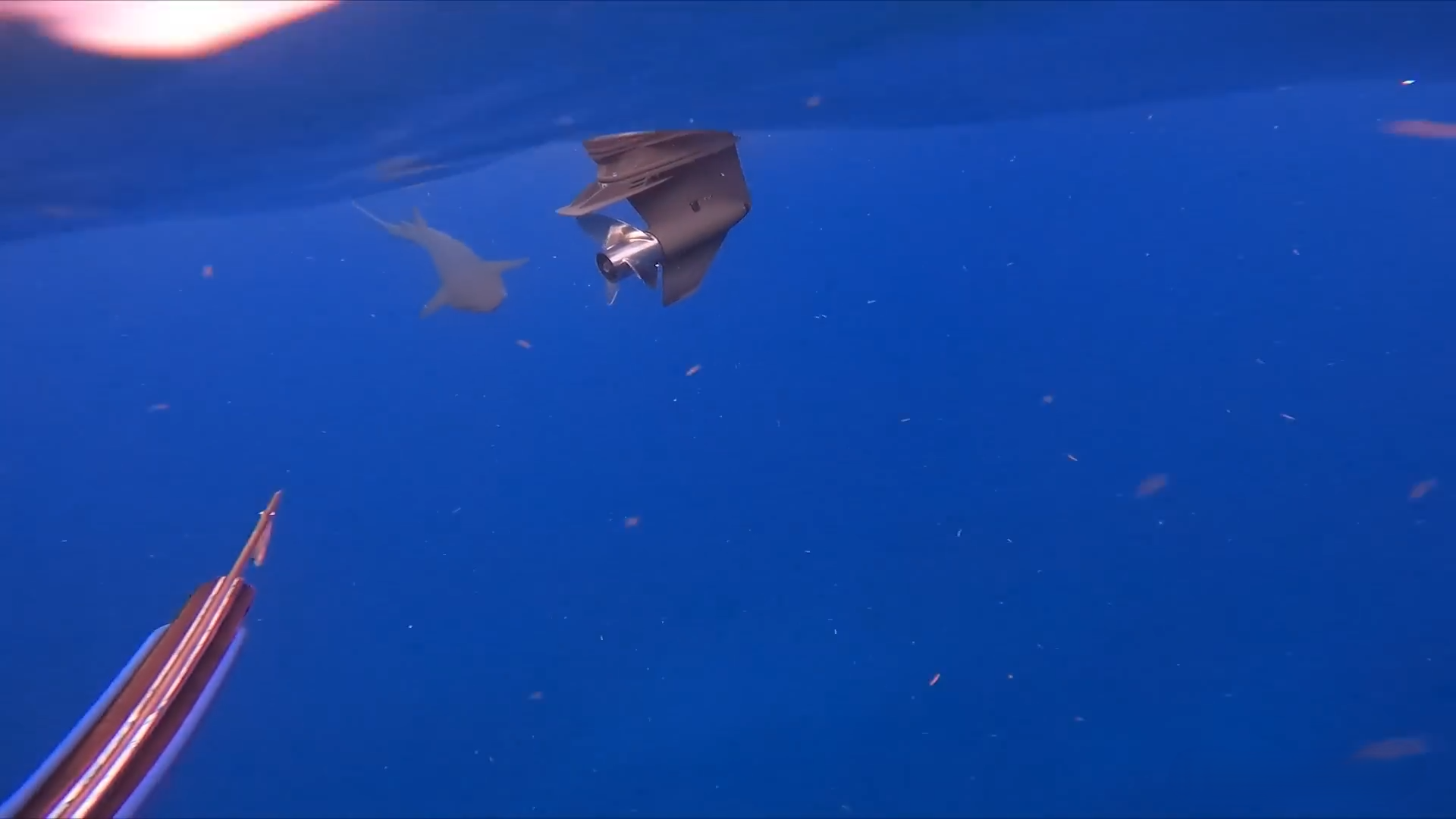 He risked his life for one fish then a pack of bull sharks decided to ...
