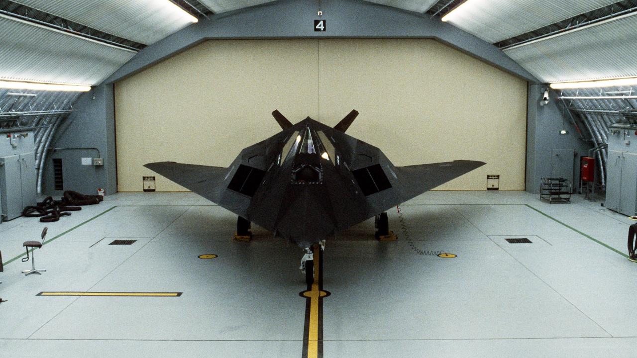 You can now see an F-117 Nighthawk at the Smithsonian