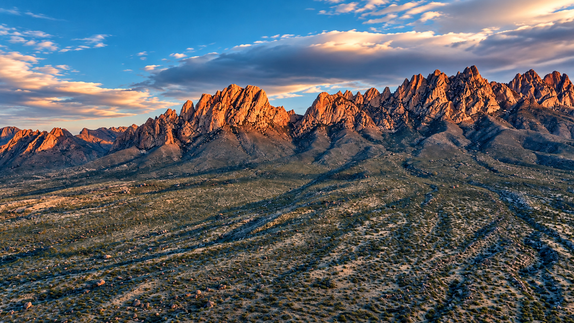 Golden light across the Organ Mountains