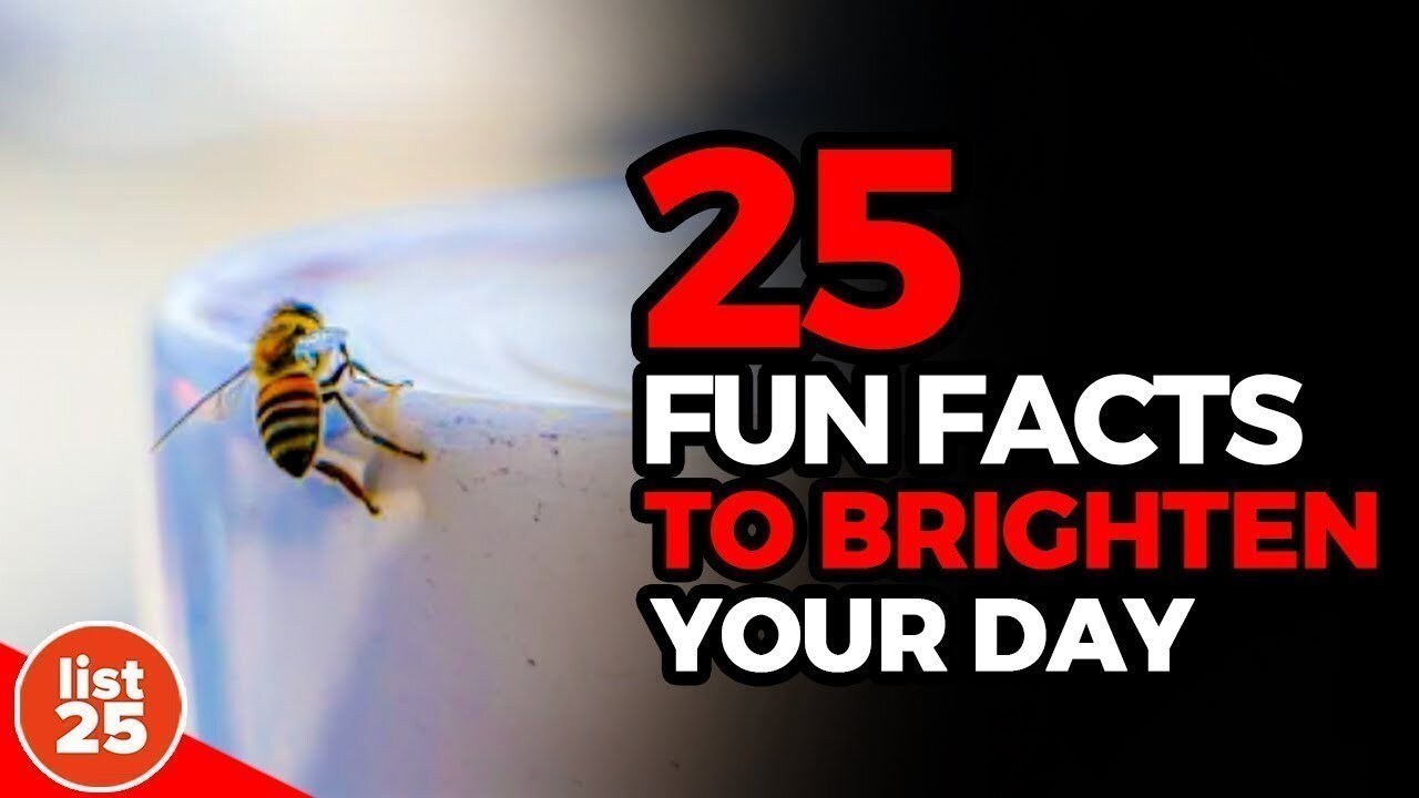 25 feel-good facts guaranteed to brighten your day