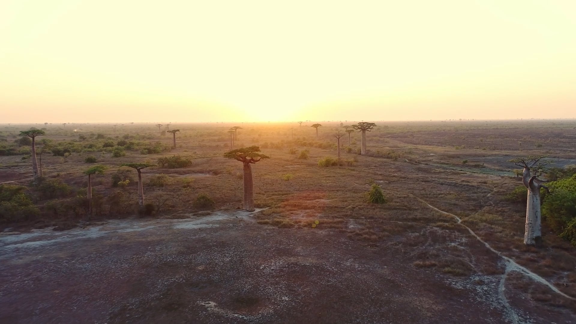 Madagascar from above: Rainforests, reefs and wildlife