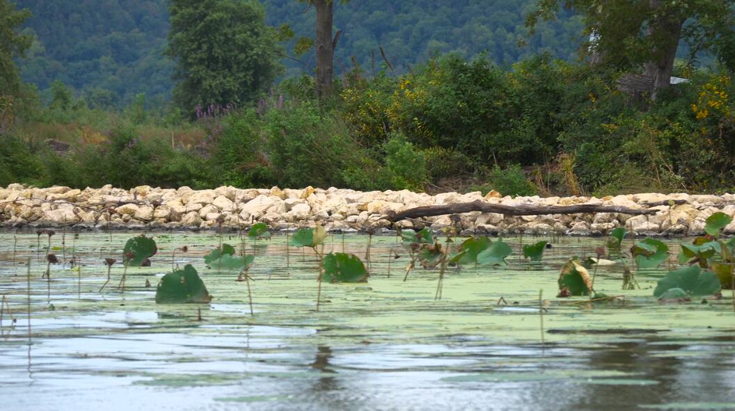 $40M project restores disappearing Mississippi River islands, habitats