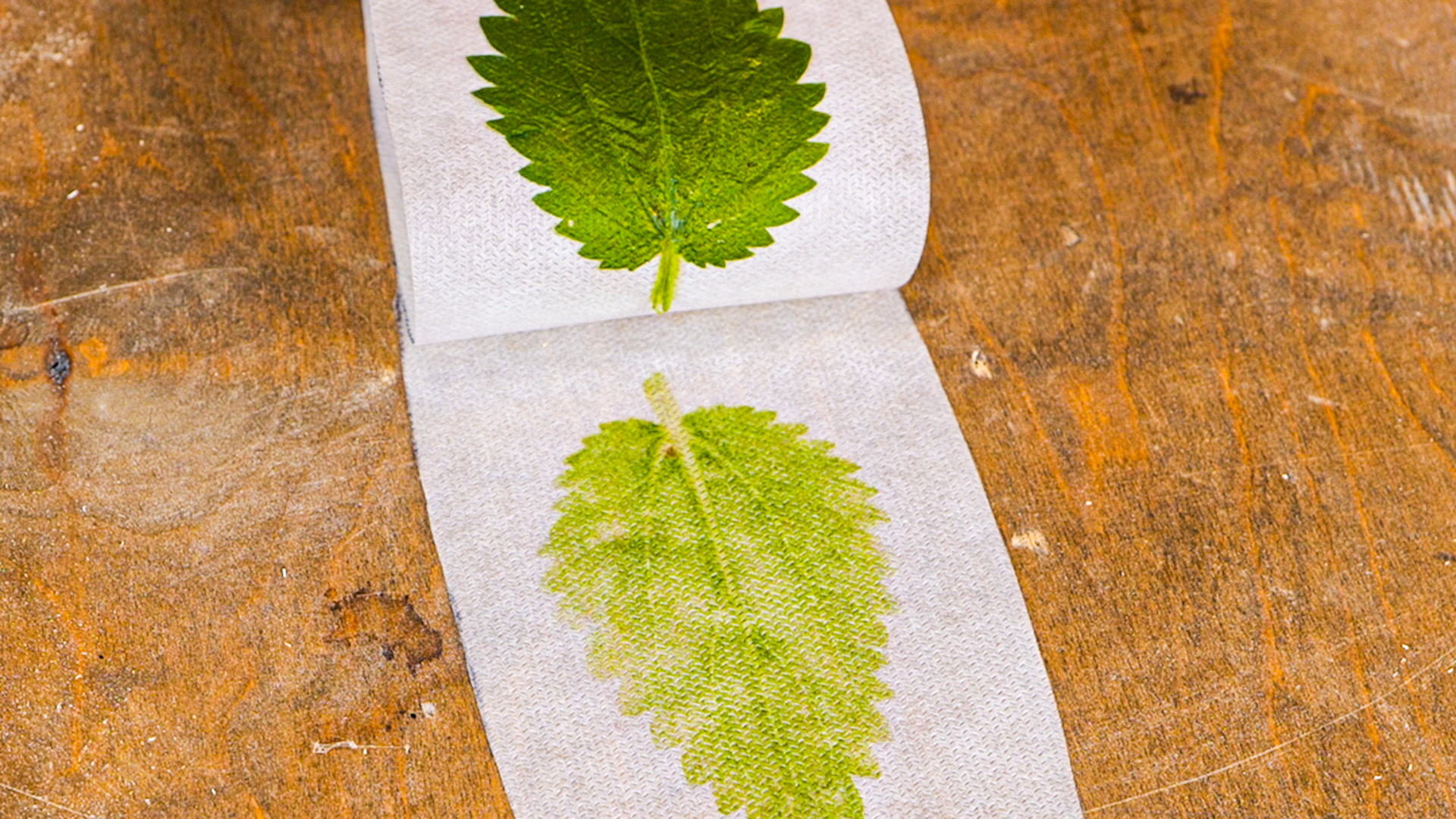 When nature meets art! DIY light made from wood and paper